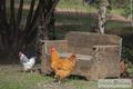 Property photo of 6 Cowrang Lane Yallingup Siding WA 6282