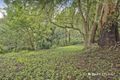 Property photo of 85 Kallista-Emerald Road The Patch VIC 3792