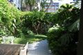 Property photo of 10 Alma Street Paddington NSW 2021
