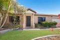 Property photo of 82 Mountain Ash Drive Mountain Creek QLD 4557