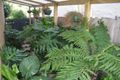 Property photo of 11 Kintyre Crescent Leopold VIC 3224