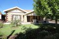 Property photo of 31 Linley Avenue Prospect SA 5082