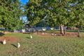 Property photo of 50-52 Thora Road Cedar Grove QLD 4285