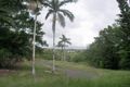 Property photo of 36 Jogo Road Vasa Views QLD 4860