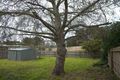 Property photo of 49 Booran Parade Tootgarook VIC 3941