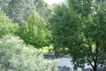 Property photo of 8 First Farm Drive Castle Hill NSW 2154