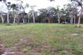 Property photo of 55 Paradise Drive Weyba Downs QLD 4562