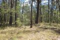 Property photo of 1082 Mud Flat Road Drake NSW 2469