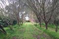 Property photo of 33 Blackwood Road Millicent SA 5280