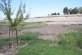 Property photo of 6 Grampian Avenue Minto NSW 2566