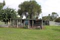 Property photo of 4 Madeline Street Wingen NSW 2337