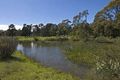 Property photo of 352 Turpentine Road Tomerong NSW 2540