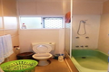 Property photo of 11 Eleanor Street Miles QLD 4415