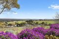 Property photo of 100 Barhams Road Musk VIC 3461