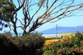 Property photo of 123 Scamander Avenue Scamander TAS 7215