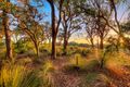 Property photo of 176 Lagoon Drive Yallingup WA 6282