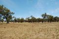 Property photo of 80 Selection Road Broadford VIC 3658