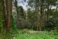 Property photo of 21-25 McAllister Road Monbulk VIC 3793
