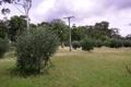 Property photo of 3046 Boundary Road Mount Fox QLD 4850