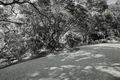 Property photo of 19 Longview Close Wamberal NSW 2260