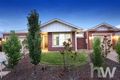 Property photo of 17 Pienza Way Leopold VIC 3224