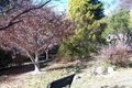 Property photo of 5 Pine Street Moss Vale NSW 2577
