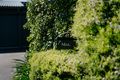 Property photo of 7 Matheson Road Reynella East SA 5161
