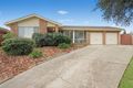 Property photo of 23 Haslewood Place Hinchinbrook NSW 2168