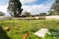 Property photo of 11A Gould Place Parmelia WA 6167