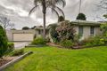 Property photo of 40 Darwin Road Boronia VIC 3155