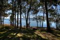 Property photo of 22 Watersleigh Avenue Mallabula NSW 2319
