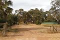 Property photo of 12 Francis Street Kapunda SA 5373