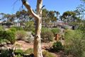Property photo of 7 Wastell Street Stirling North SA 5710