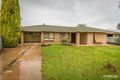 Property photo of 11 Para Avenue Nuriootpa SA 5355