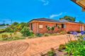 Property photo of 81 McLachlan Avenue Shelly Beach NSW 2261