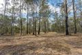 Property photo of 685 Lower Kangaroo Creek Road Coutts Crossing NSW 2460