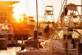 Property photo of 43 Wharf Parade Shell Cove NSW 2529