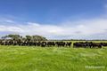 Property photo of 45 Knights Road Longwarry VIC 3816