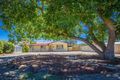 Property photo of 7 Stockwell Road Stockwell SA 5355