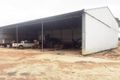 Property photo of 2114 Broomehill-Gnowangerup Road Pallinup WA 6335