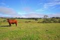 Property photo of 37 Settlement Road Mount Mee QLD 4521