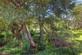 Property photo of 2 Ford Street Bellingen NSW 2454