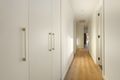 Property photo of 45 Crozier Avenue Newton SA 5074