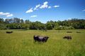 Property photo of 51 Fridays Creek Road Upper Orara NSW 2450