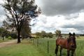 Property photo of 4192 Murringo Road Young NSW 2594