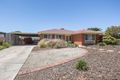 Property photo of 7 Endama Avenue Modbury North SA 5092