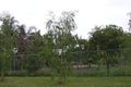 Property photo of 219 Torbay Road Chandler QLD 4155