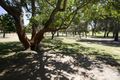 Property photo of 19 North Street Mount Lawley WA 6050