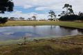 Property photo of 91 Dickers Road Reekara TAS 7256