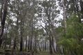 Property photo of 22 Karri Street Manjimup WA 6258